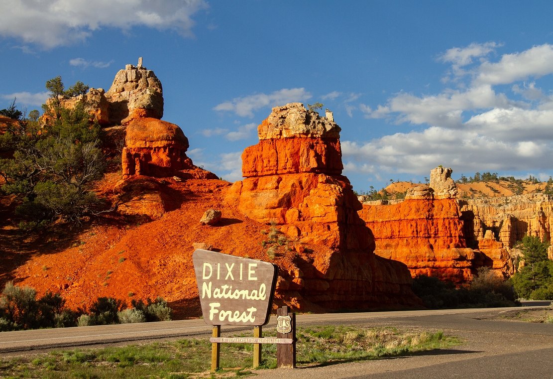 Best hikes in shop dixie national forest