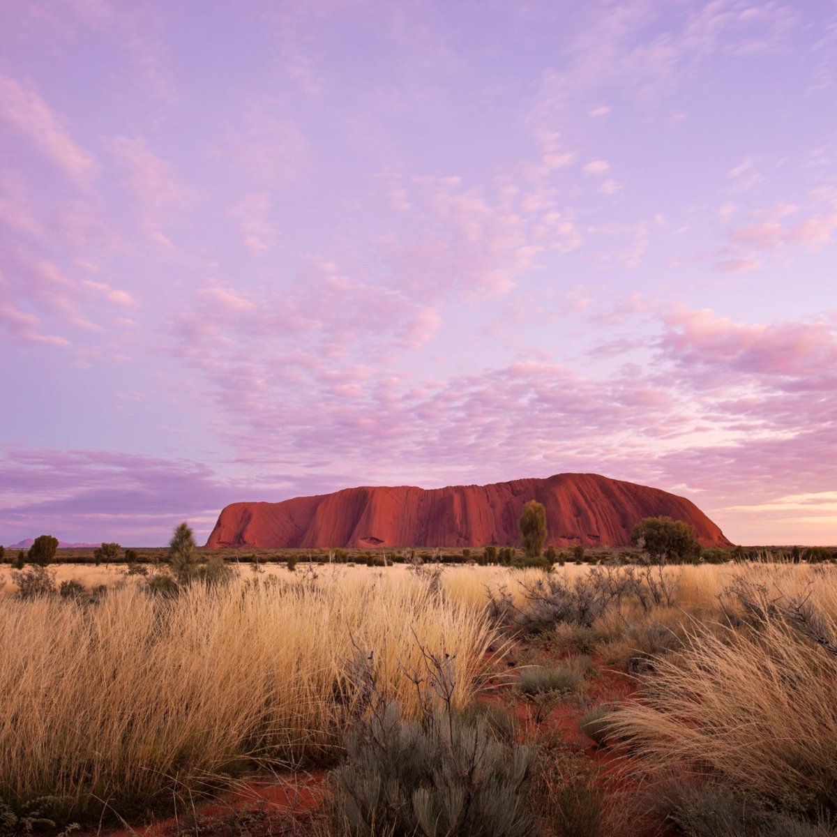 Экскурсия ayers Rock