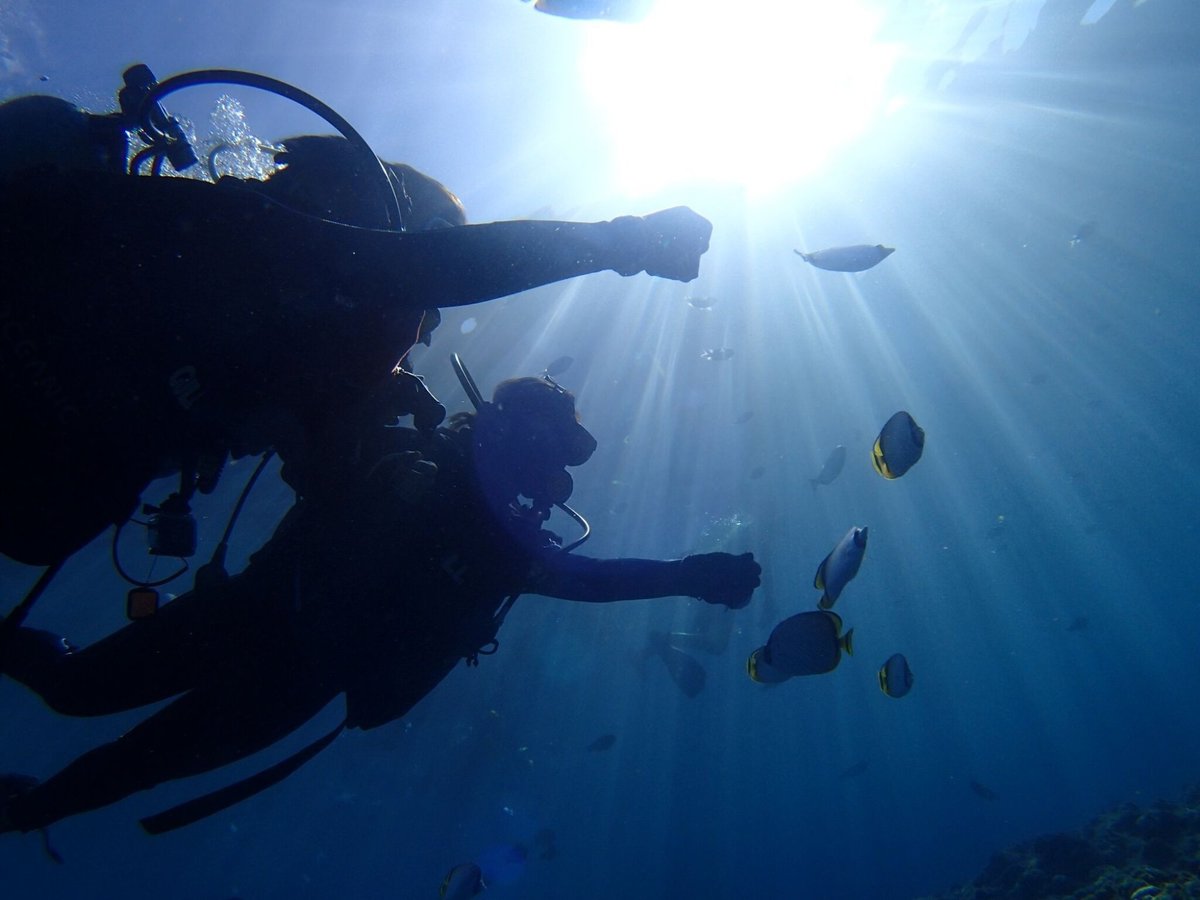 Best Dive Okinawa - Qué DEBES saber antes de ir (ACTUALIZADO 2025 ...