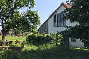 Viajante