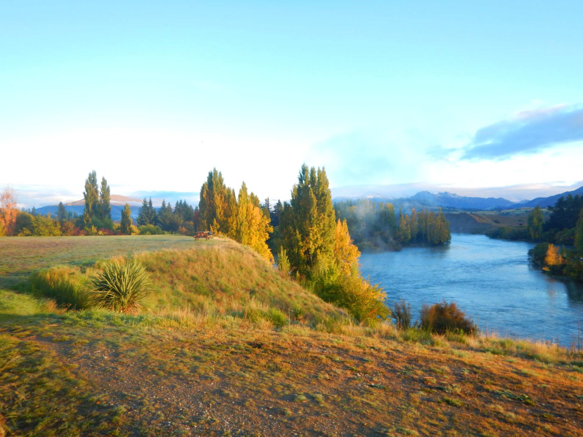 UPPER CLUTHA RIVER TRACK All You Need to Know BEFORE You Go with