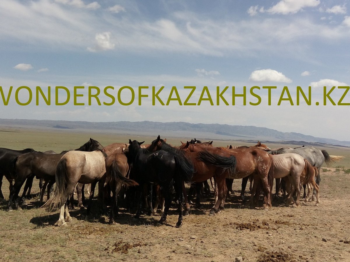 Wonders of Kazakhstan, Алматы: лучшие советы перед посещением - Tripadvisor