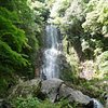 Things To Do in Kiyomizu Falls, Restaurants in Kiyomizu Falls