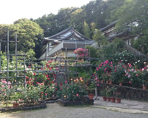 22年 大和郡山市で絶対外さないおすすめ観光スポットトップ10 定番から穴場まで トリップアドバイザー 22年 大和郡山市で絶対外さないおすすめ観光スポットトップ10 定番から穴場まで トリップアドバイザー
