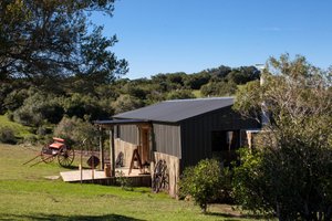 Habitación y suite