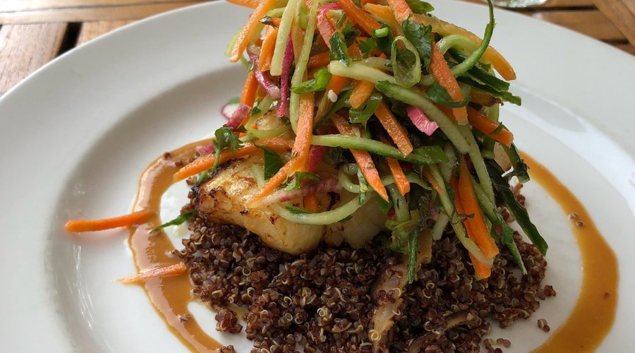 Signature sea bass with a slaw and on top of quinoa