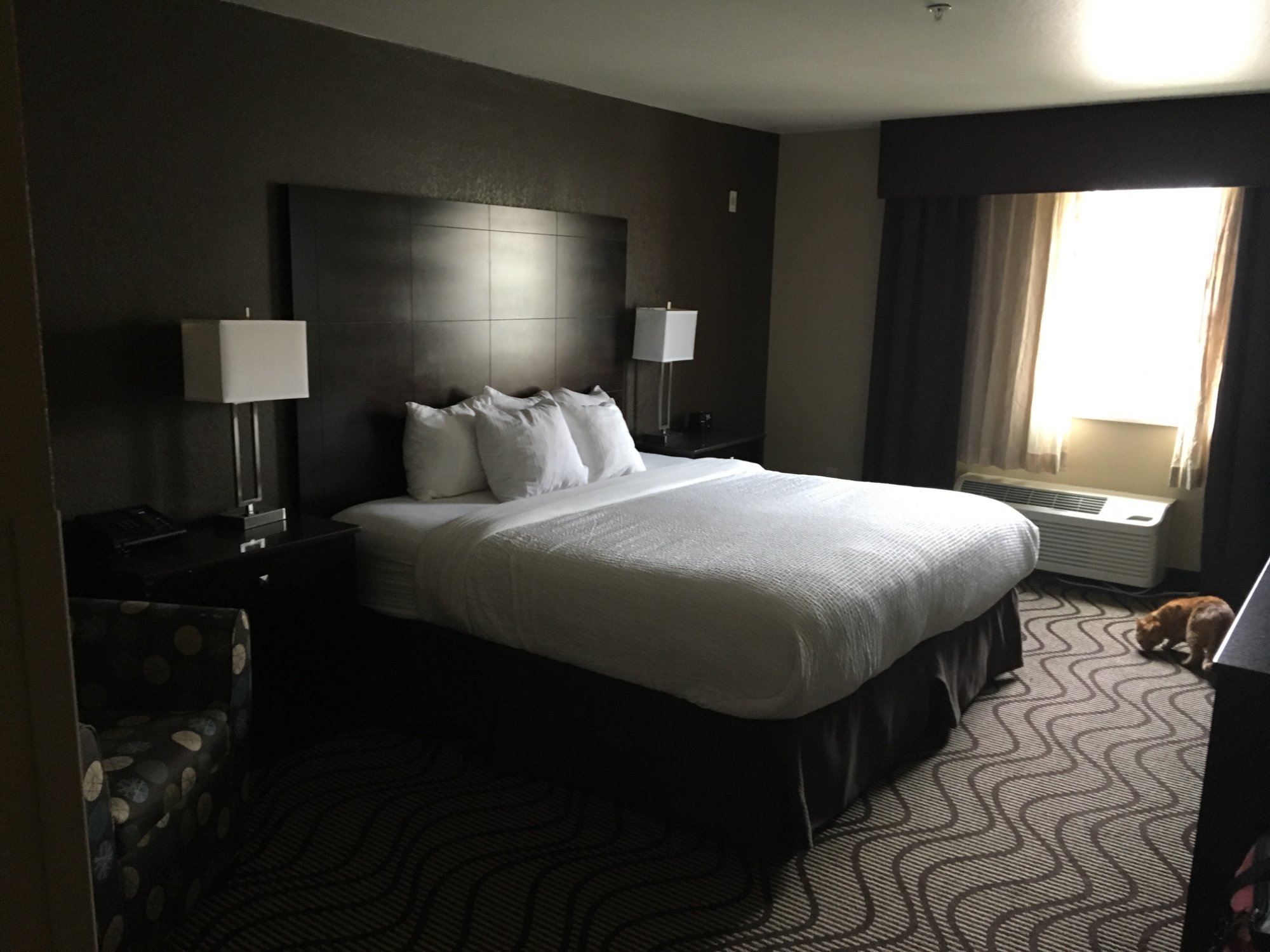 LA QUINTA INN & SUITES BY WYNDHAM MERIDIAN / BOISE WEST $145 ($̶1̶7̶5̶ ...