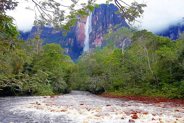 Angel Falls em Canaima: 21 opiniões e 191 fotos