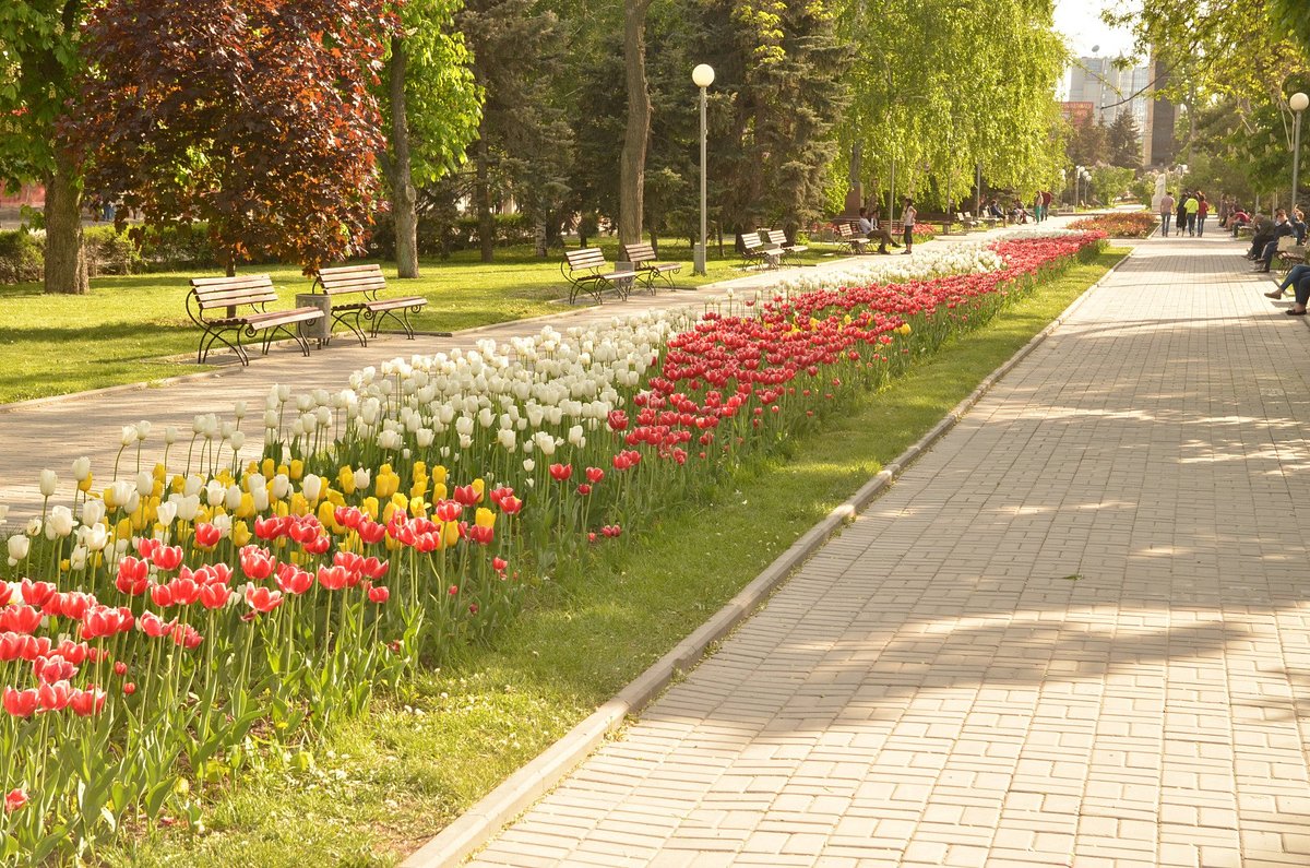 Аллея героев, Волгоград: лучшие советы перед посещением - Tripadvisor