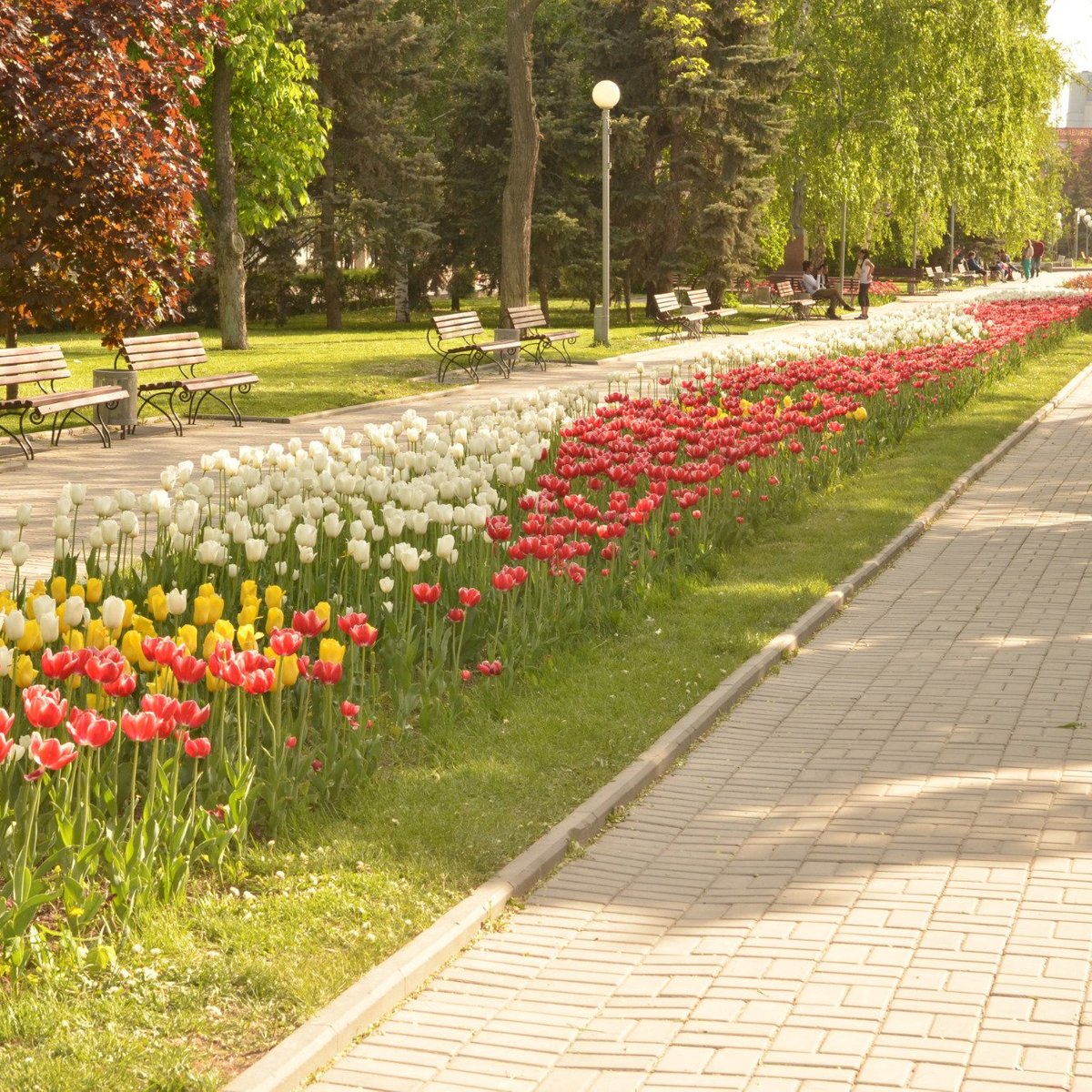 Аллея героев, Волгоград: лучшие советы перед посещением - Tripadvisor