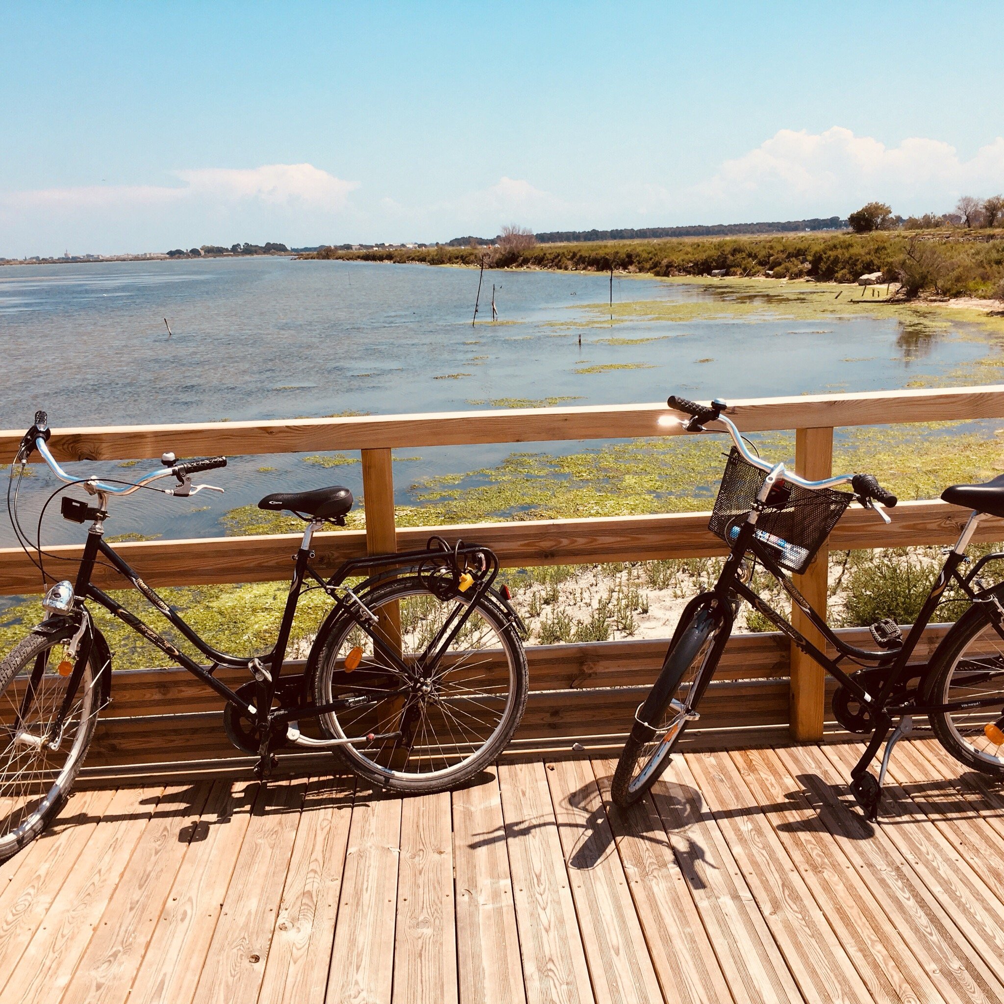 VELO EVASION Le Grau du Roi Ce qu il faut savoir pour votre visite avec photos