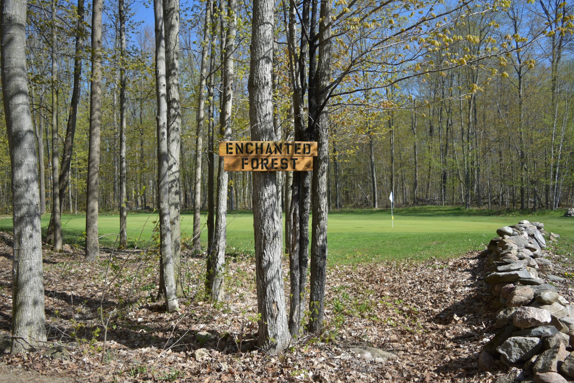 Elmvale Ontario 2024 Best Places To Visit Tripadvisor   Enchanted Forest Sign 