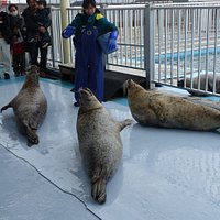 _/_/_/_/_/_/_/(2017.4 撮影) 飼育員さんの説明