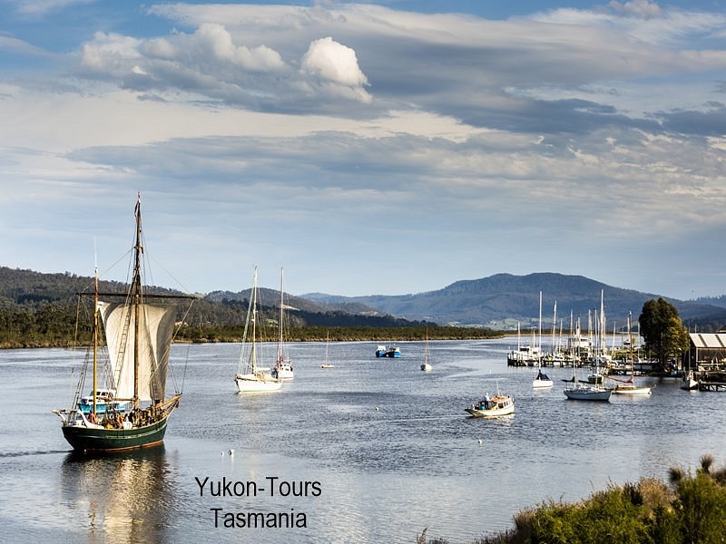 Yukon Tours image