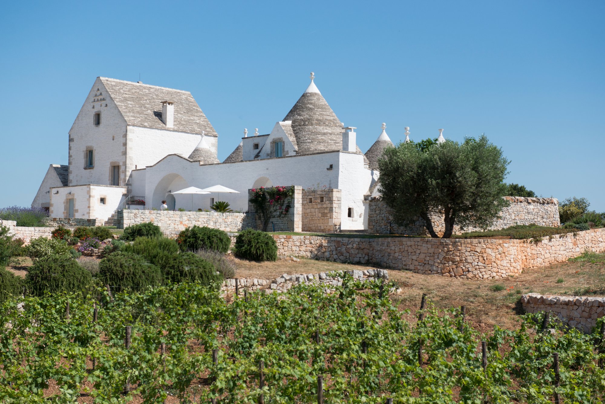 MASSERIA SERRALTA B&B (Locorotondo, Puglia): Prezzi 2022 E Recensioni