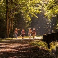 Promenade le long de la rigole de la plaine aux Cammazes