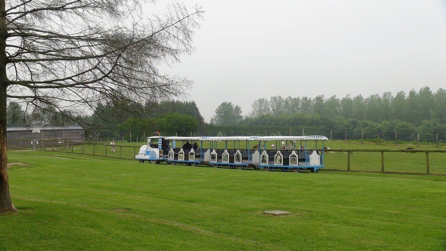Ballade en petit train, c'est très sympa et gratuit pour voir les animaux de la ferme et les équ