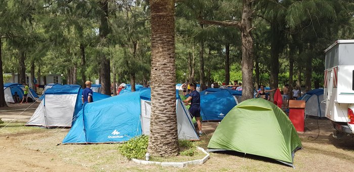 Imagen 9 de Camping Paloma