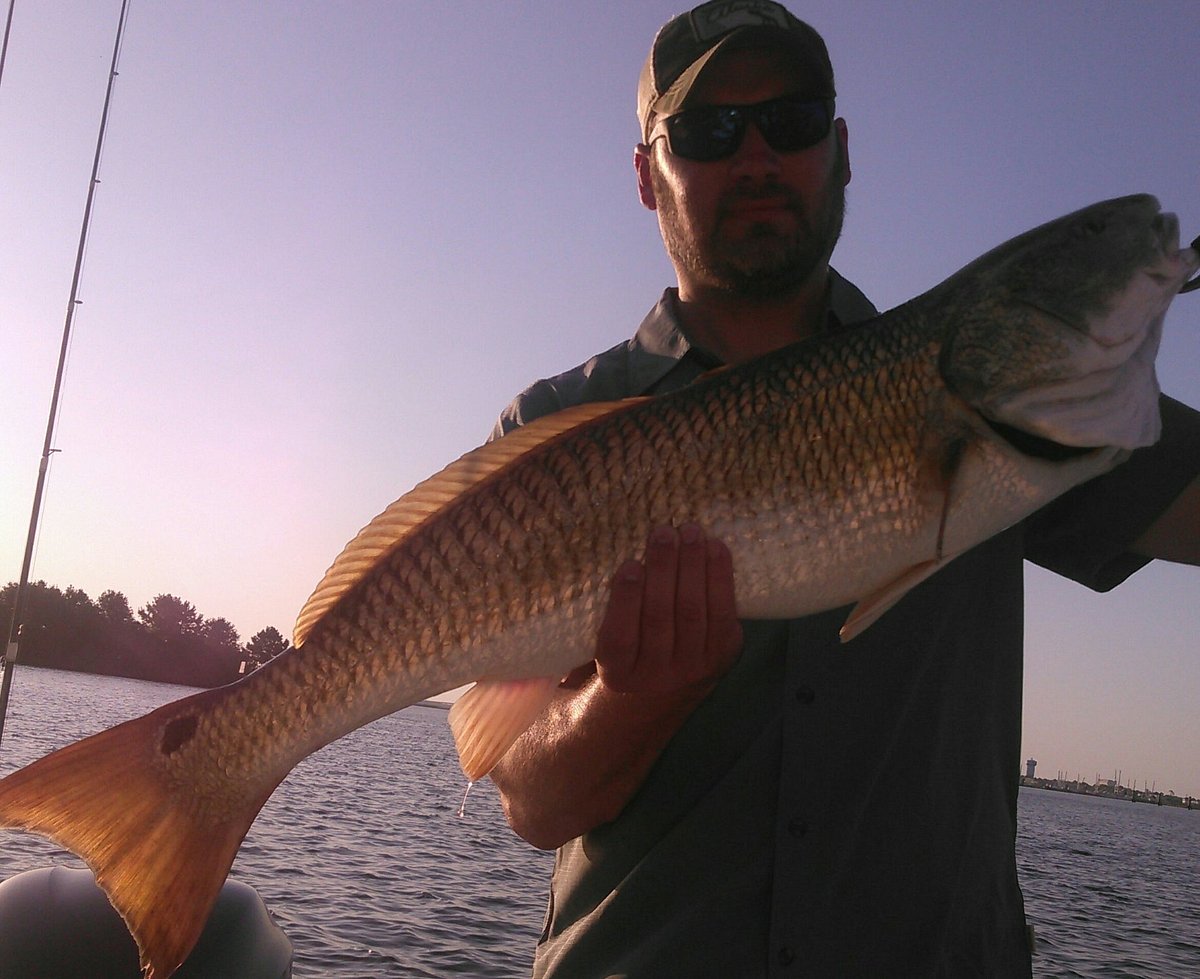 Big Bass Boomtown in Florida - Game & Fish