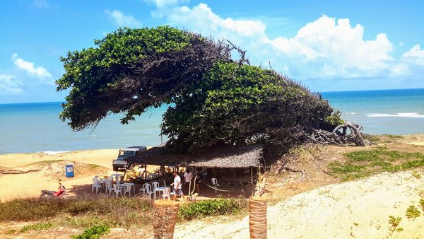 Maxaranguape 2024 - O que saber antes de ir - Tripadvisor