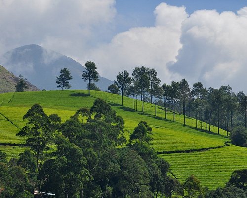 best places to visit in wayanad kerala