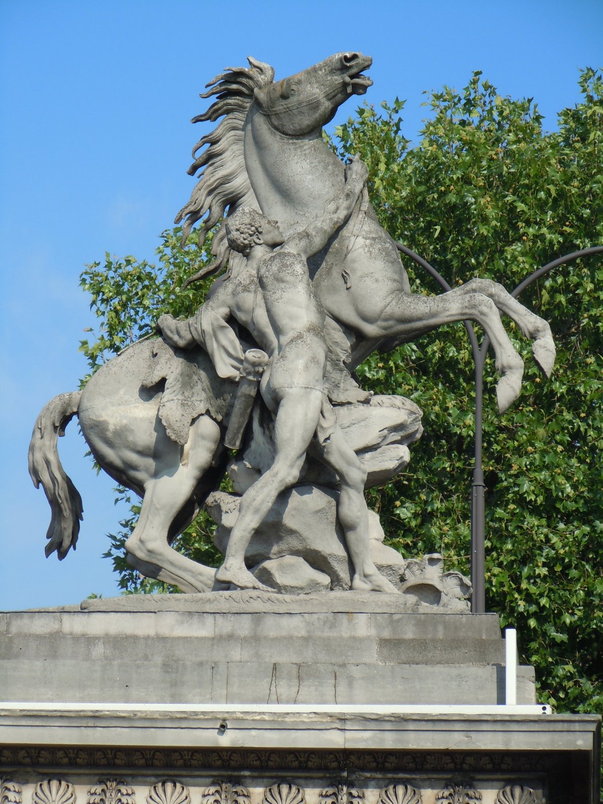 Fotografia do Cavalo Crioulo é exibida no Museu do Louvre - Cavalus