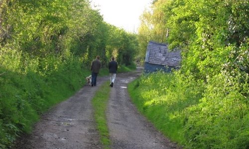 Kildare, Ireland © SLeeder