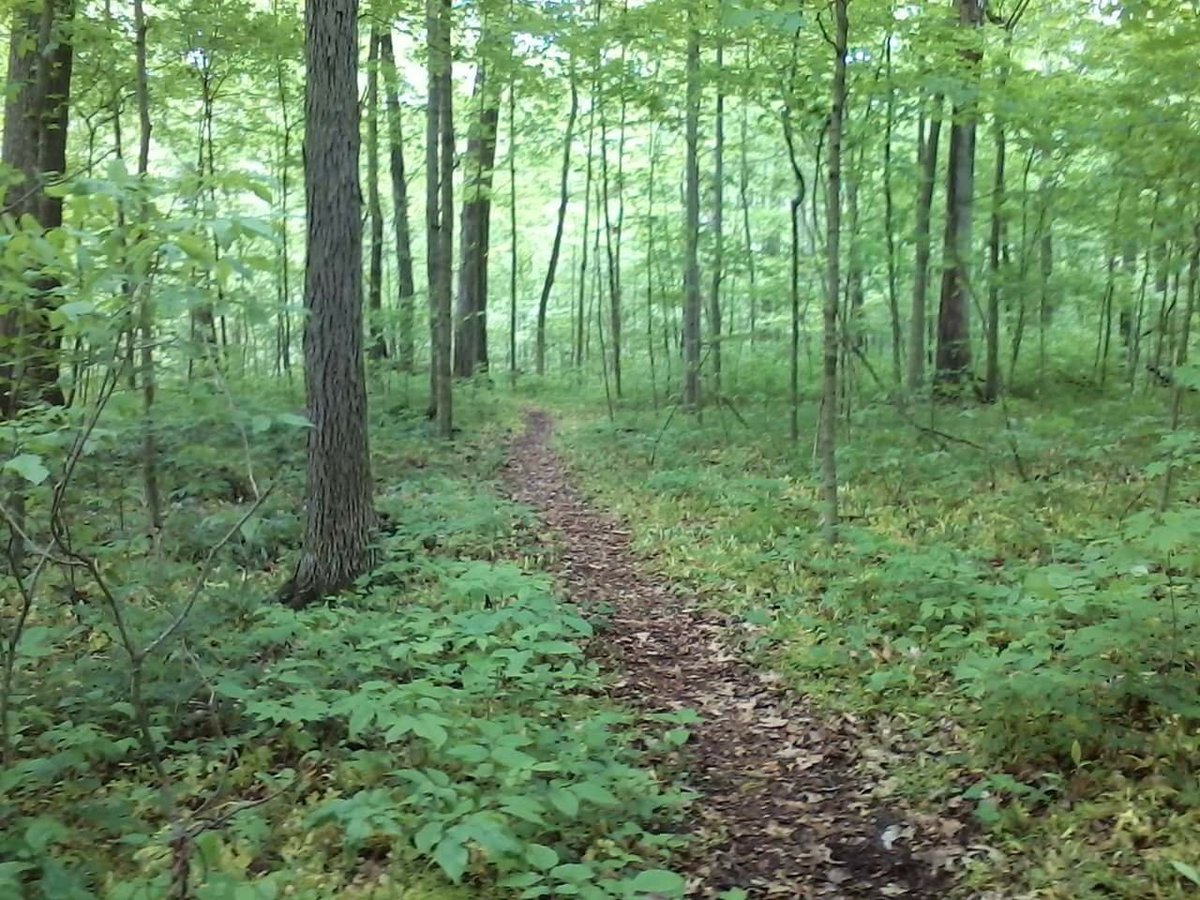 Escape To Enchantment: Unveiling The Secrets Of Ohio’s Baker Woods State Nature Preserve