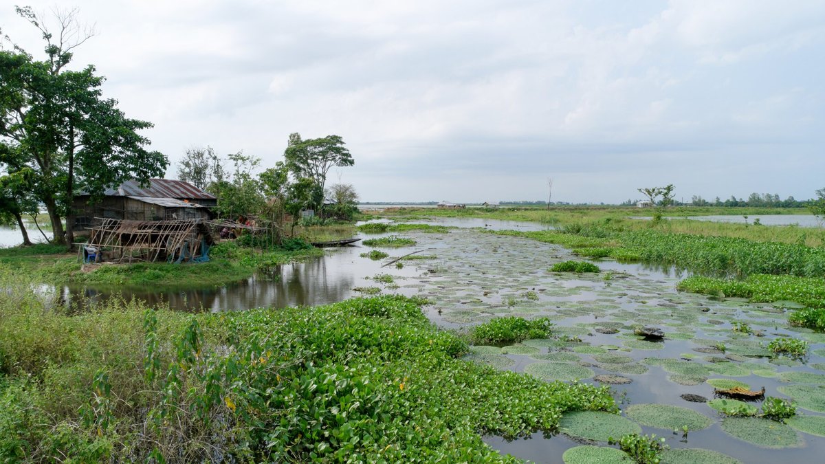 Baikka Beel Wetland Sanctuary - All You Need to Know BEFORE You Go (2024)