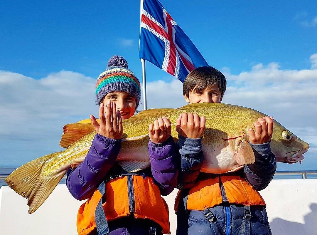 special tours reykjavik fishing