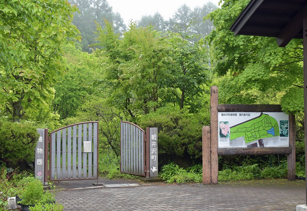 23年 軽井沢町植物園 行く前に 見どころをチェック トリップアドバイザー