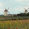 Things To Do in Molinos de Viento (WindMill), Restaurants in Molinos de Viento (WindMill)