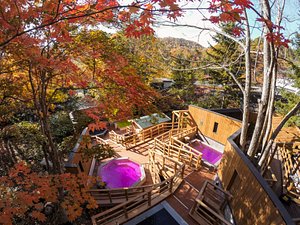 Midori no Kaze Resort Kitayuzawa in Date, image may contain: Leaf, Plant, Scenery, Autumn