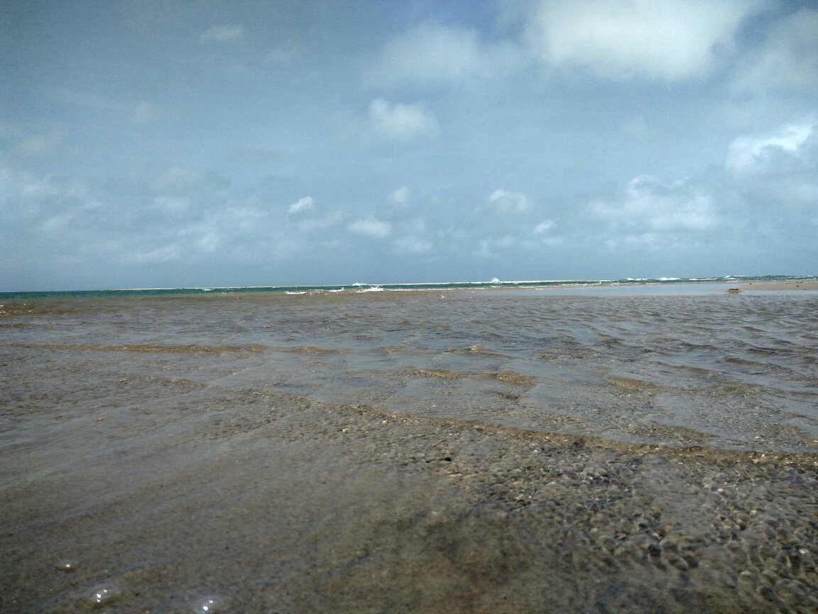 Gulf of Mannar Marine National Park (Dhanushkodi, India): Address ...