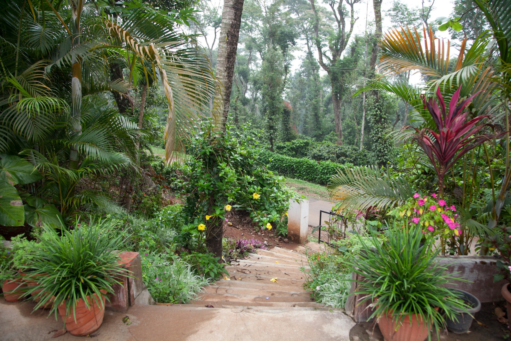 Hotel photo 10 of The Blue Mountains Estate Stay.