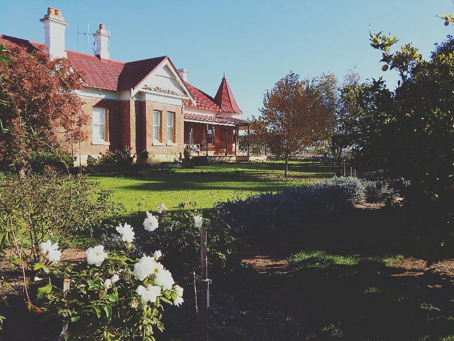 Glencara - Home of the Rustic Maze & Country Garden (Monteagle) - 2023 ...