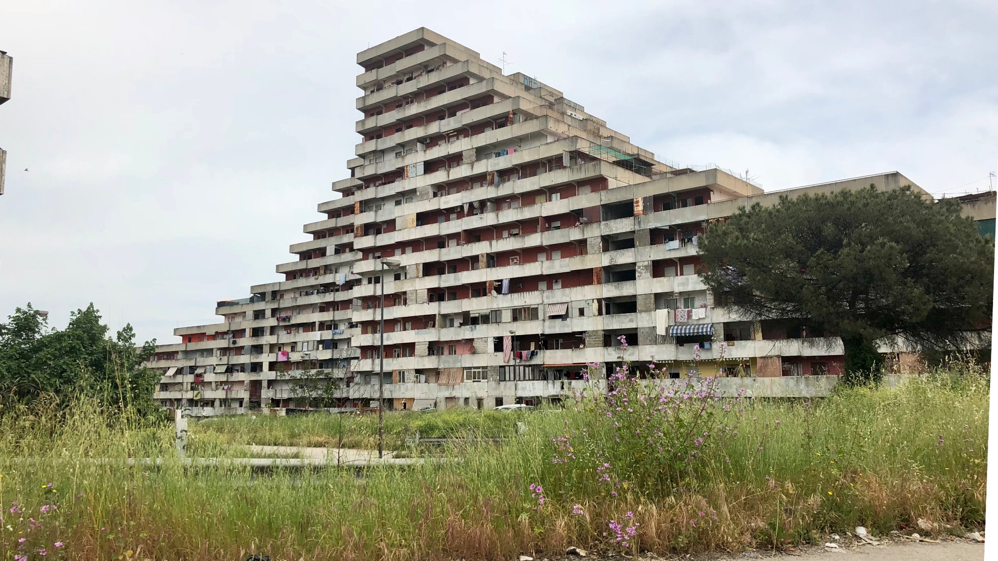 VELE DI SCAMPIA: Tutto Quello Che C'è Da Sapere (2024)