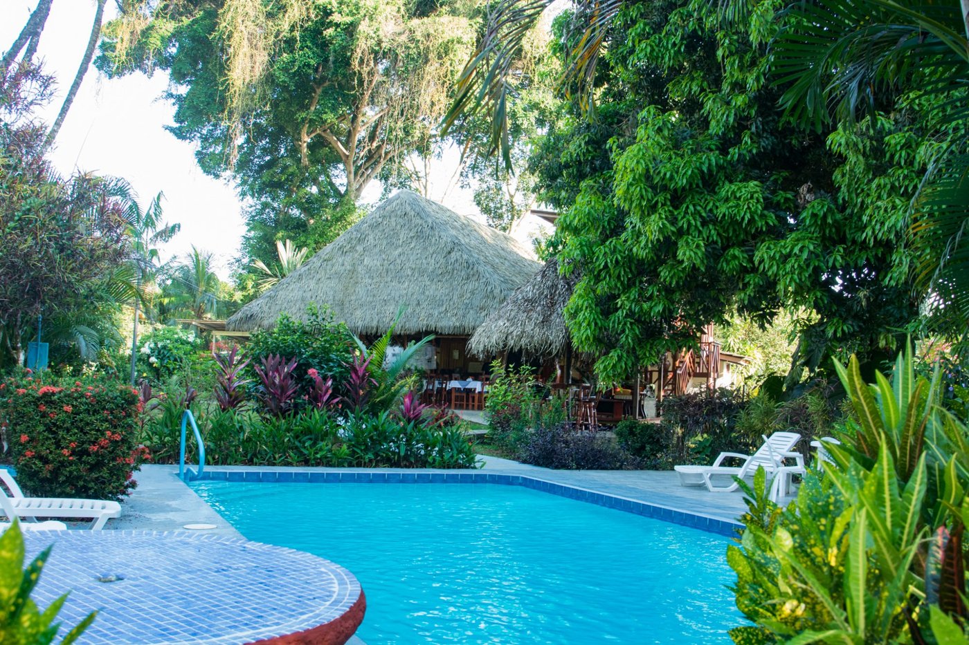 DIQUIS DEL SUR - Updated 2023 Prices & Lodge Reviews (Costa Rica/Ojochal)