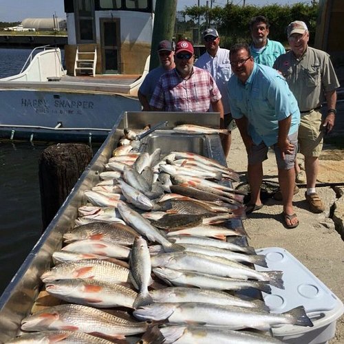 THE 10 BEST Dauphin Island Fishing Charters & Tours (Updated 2024)