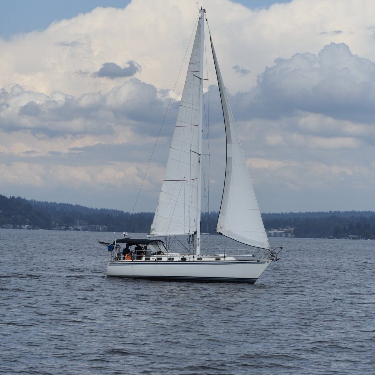Seattle Boat Tours (2025) - All You Need to Know BEFORE You Go (with Reviews)