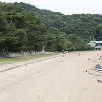 横の桂が浜