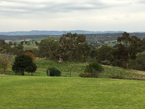 One Tree Hill, Australia 2023: Best Places to Visit - Tripadvisor