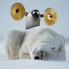 peterbrass