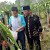 sugirah p