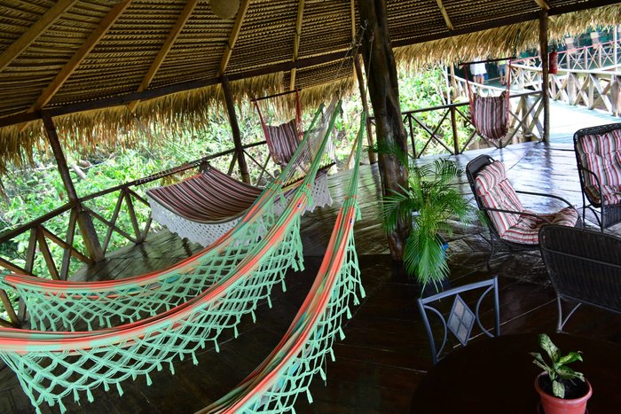 Amazon Tupana Lodge Hiking: Pictures & Reviews - Tripadvisor