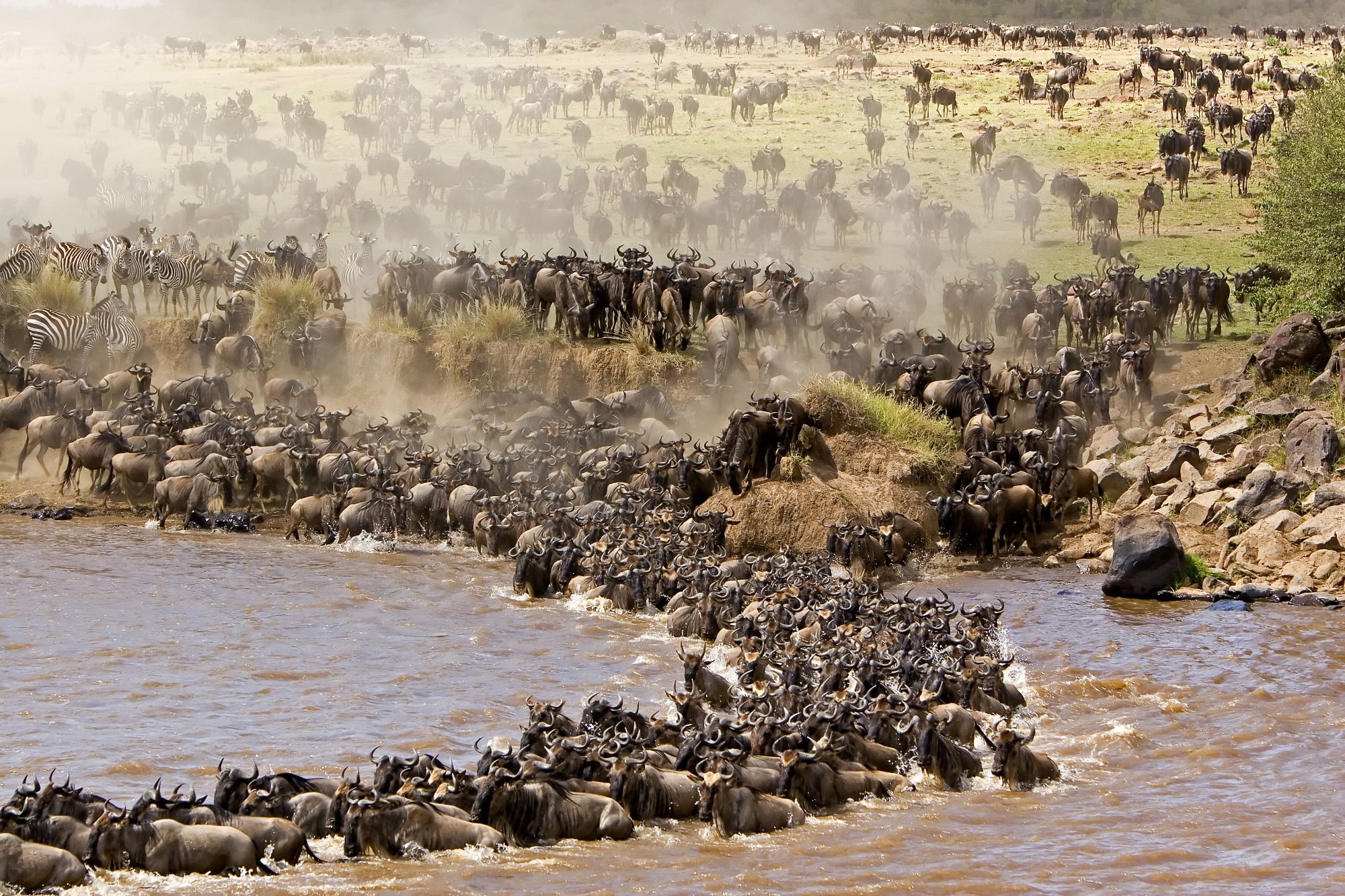 Mara River Maasai Mara National Reserve All You Need To Know BEFORE   Crossing Point For The 