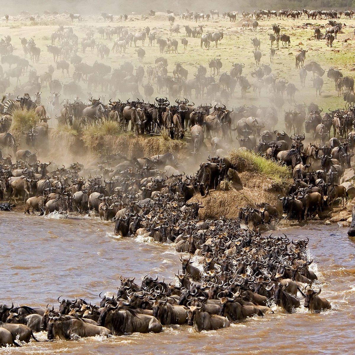 MARA RIVER (Maasai Mara National Reserve) - All You Need to Know BEFORE You  Go