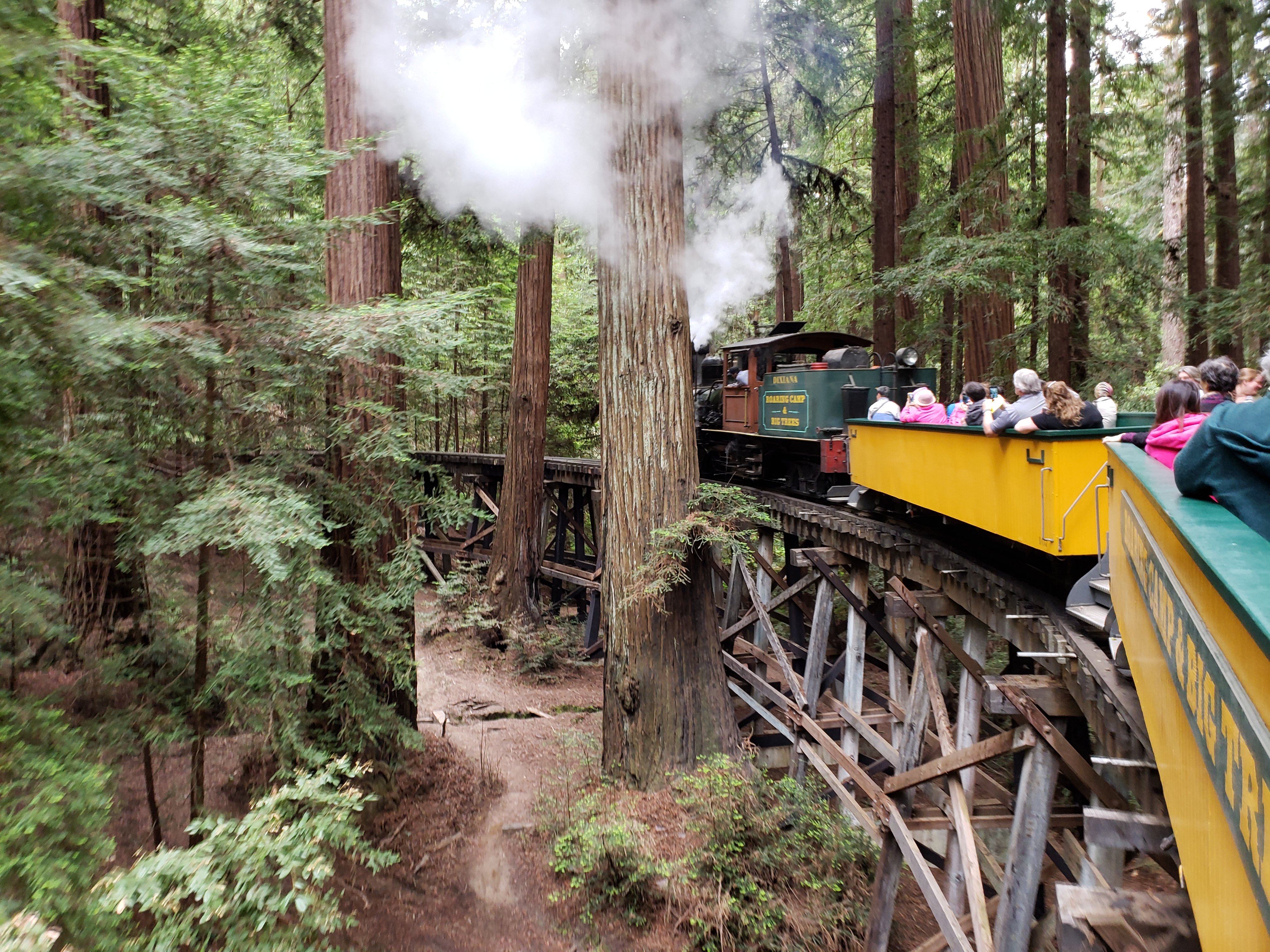 Roaring Camp Railroads All You Need to Know BEFORE You Go