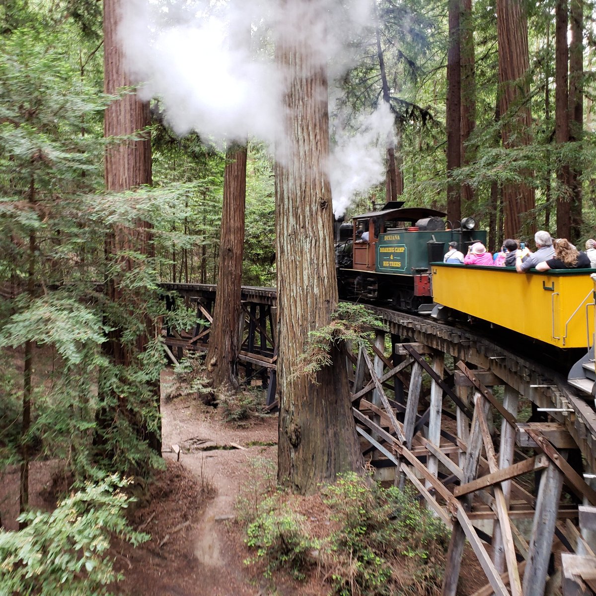 Roaring Camp Railroads, Санта-Крус: лучшие советы перед посещением -  Tripadvisor