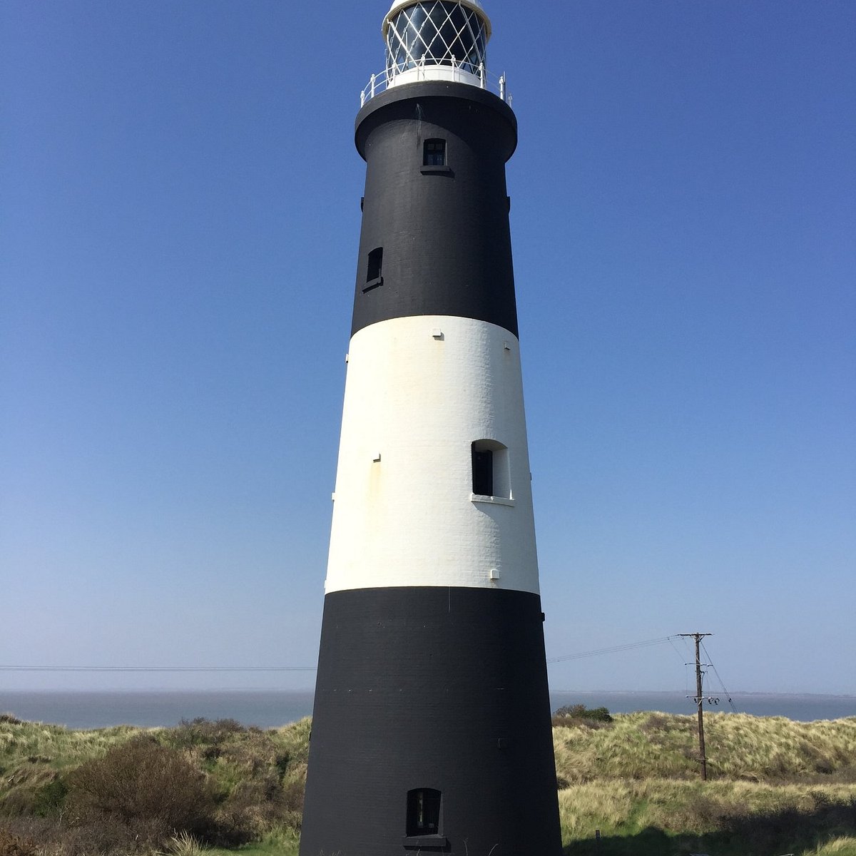 are dogs allowed at spurn point